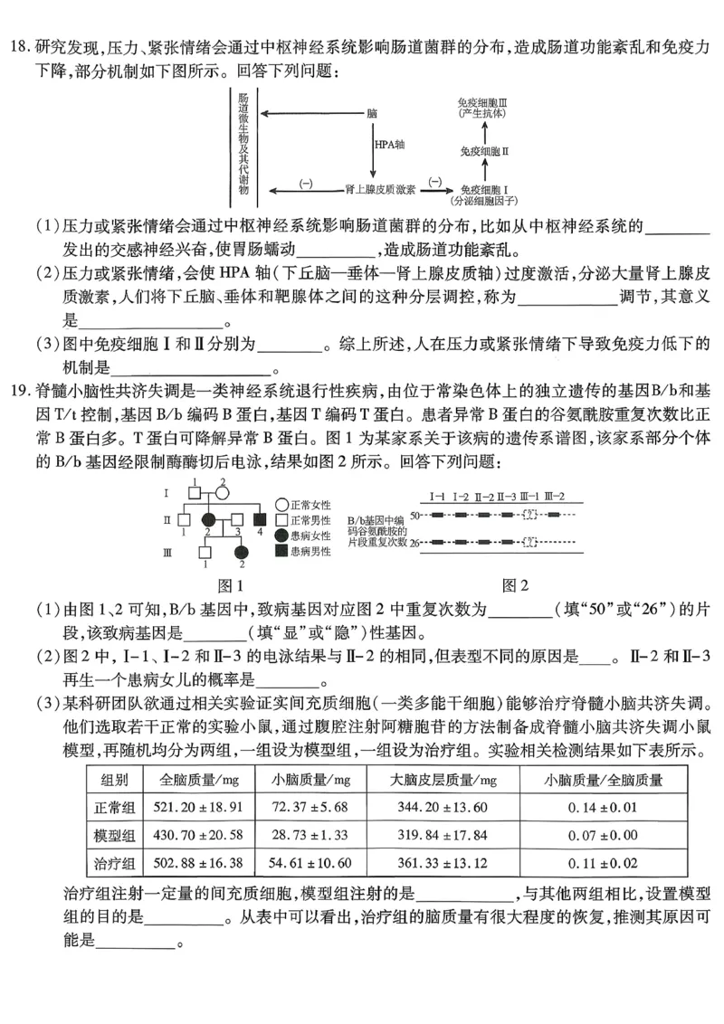 重庆市南开中学高2026届高三第七次质量检测生物_2024-2026高三（6-6月题库）_2026年04月高三试卷_260402重庆南开中学高2026届高三下学期3月第七次质量检测（月考七）（全科）