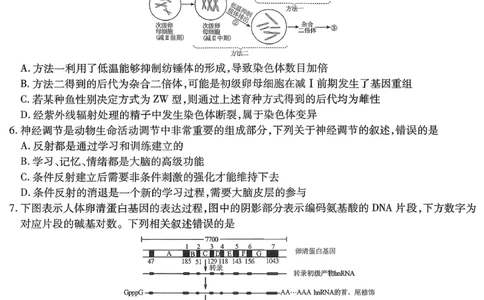 重庆市南开中学高2026届高三第七次质量检测生物_2024-2026高三（6-6月题库）_2026年04月高三试卷_260402重庆南开中学高2026届高三下学期3月第七次质量检测（月考七）（全科）