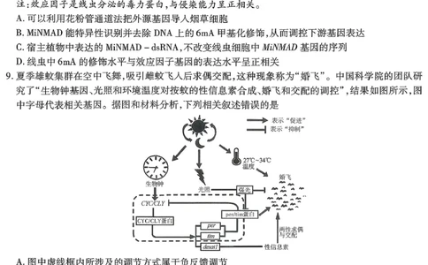 重庆市南开中学高2026届高三第七次质量检测生物_2024-2026高三（6-6月题库）_2026年04月高三试卷_260402重庆南开中学高2026届高三下学期3月第七次质量检测（月考七）（全科）