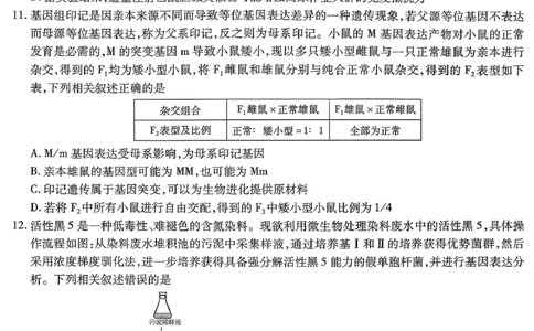 重庆市南开中学高2026届高三第七次质量检测生物_2024-2026高三（6-6月题库）_2026年04月高三试卷_260402重庆南开中学高2026届高三下学期3月第七次质量检测（月考七）（全科）