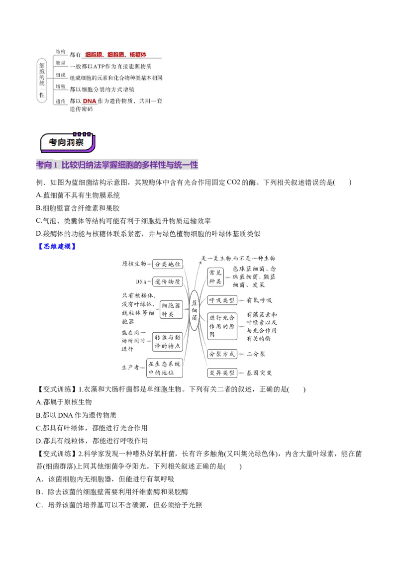 第01讲走近细胞（讲义）（原卷版）_新高考复习资料_2025年新高考资料_2025年高考生物一轮复习讲练测（新教材新高考）