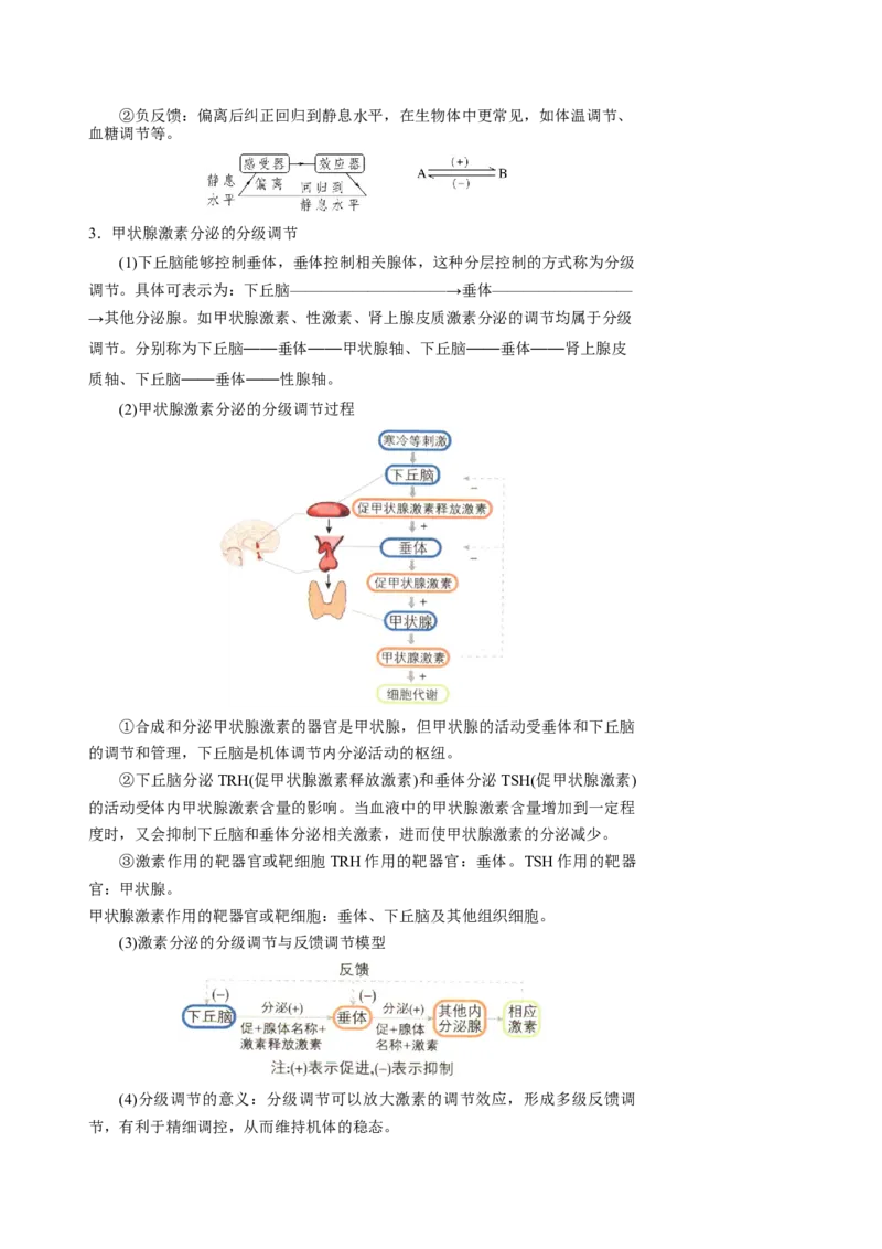 知识清单22体液调节（2大考点+7个易错点）-上好课2025年高考生物一轮复习知识清单_2025年新高考资料_一轮复习_上好课2025年高考生物一轮复习知识清单325572639