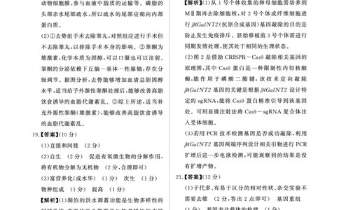 青桐鸣大联考2026届高三下学期学情调研（二）生物答案_2024-2026高三（6-6月题库）_2026年03月高三试卷_260316河南省青桐鸣大联考2026届高三下学期学情调研（二）（全科）