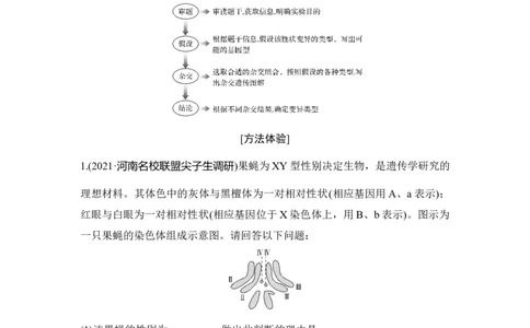 热点微练21有关变异类型的实验探究_通用版（老高考）复习资料_2023年复习资料_一轮复习_2023年高考生物一轮复习讲义+课件（全国版）_2023年高考生物一轮复习讲义（全国版）