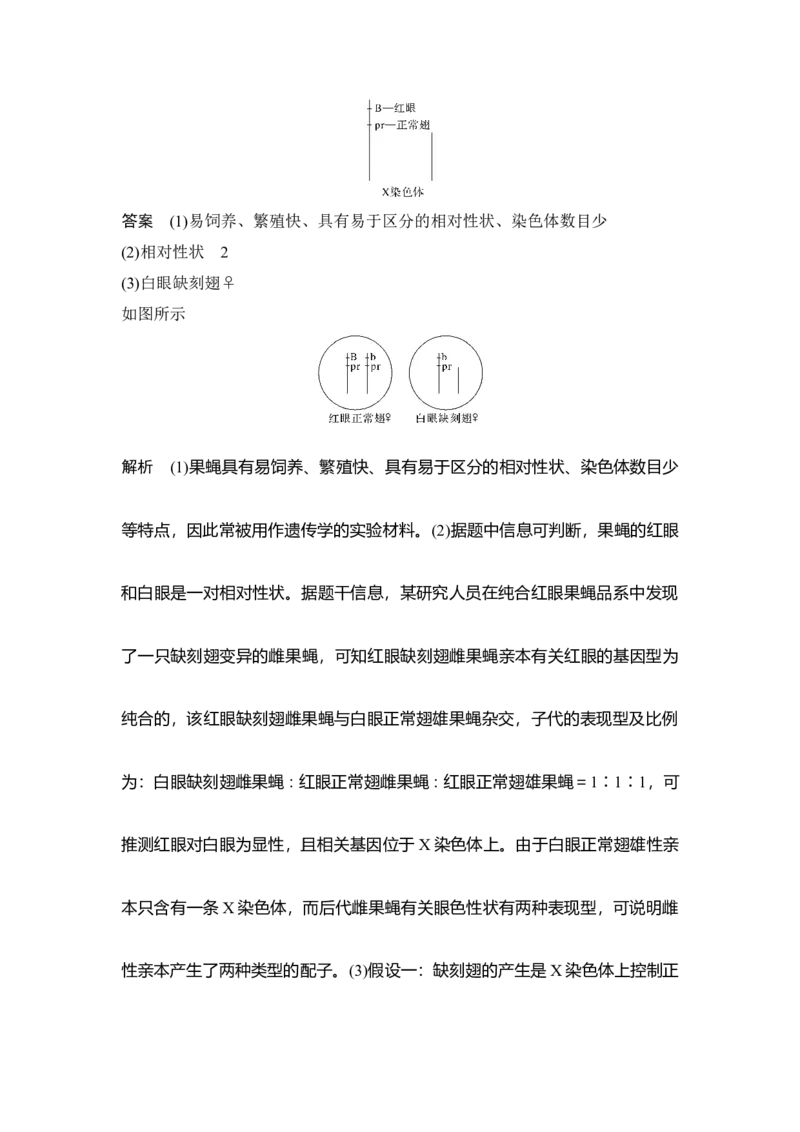 热点微练21有关变异类型的实验探究_通用版（老高考）复习资料_2023年复习资料_一轮复习_2023年高考生物一轮复习讲义+课件（全国版）_2023年高考生物一轮复习讲义（全国版）