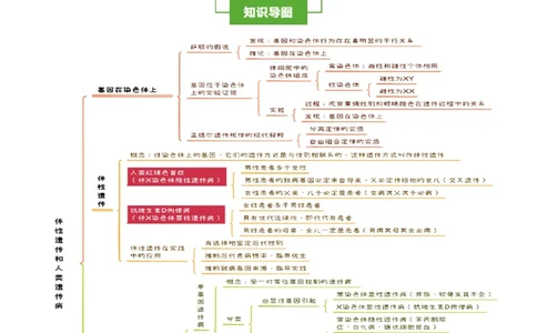 知识清单13伴性遗传和人类遗传病（4大考点6个易错点）-上好课2025年高考生物一轮复习知识清单_2025年新高考资料_一轮复习_上好课2025年高考生物一轮复习知识清单325572639