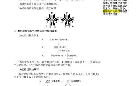 知识清单13伴性遗传和人类遗传病（4大考点6个易错点）-上好课2025年高考生物一轮复习知识清单_2025年新高考资料_一轮复习_上好课2025年高考生物一轮复习知识清单325572639