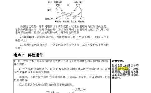 知识清单13伴性遗传和人类遗传病（4大考点6个易错点）-上好课2025年高考生物一轮复习知识清单_2025年新高考资料_一轮复习_上好课2025年高考生物一轮复习知识清单325572639