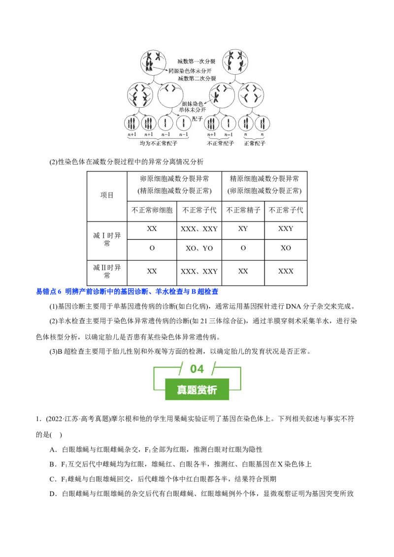知识清单13伴性遗传和人类遗传病（4大考点6个易错点）-上好课2025年高考生物一轮复习知识清单_2025年新高考资料_一轮复习_上好课2025年高考生物一轮复习知识清单325572639