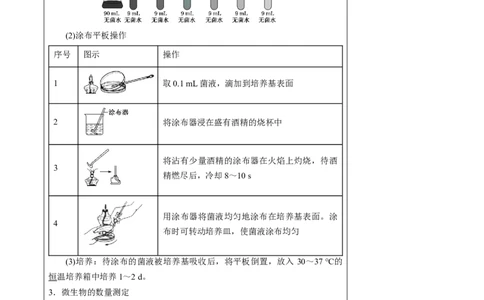 知识清单33微生物的培养技术和应用（2大考点+7个易错点）-上好课2025年高考生物一轮复习知识清单_2025年新高考资料_一轮复习_上好课2025年高考生物一轮复习知识清单325572639