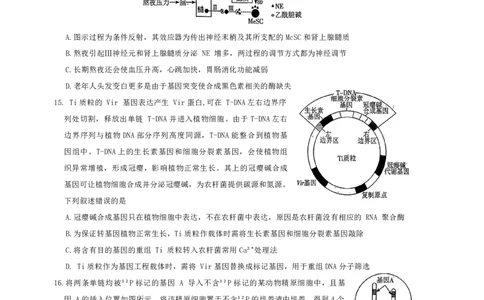 雅礼中学2026届高三月考试卷（八）生物_2024-2026高三（6-6月题库）_2026年04月高三试卷_260405湖南省雅礼中学2026届高三月考试卷（八）（全科）