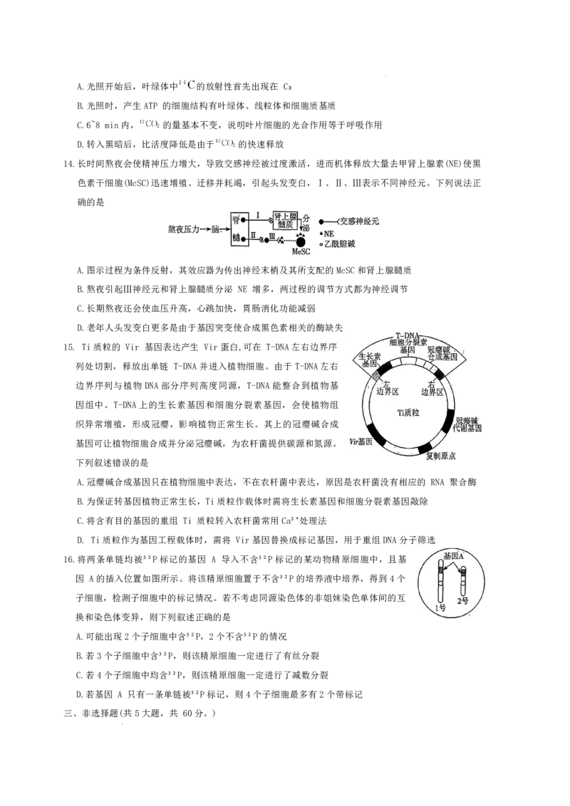 雅礼中学2026届高三月考试卷（八）生物_2024-2026高三（6-6月题库）_2026年04月高三试卷_260405湖南省雅礼中学2026届高三月考试卷（八）（全科）