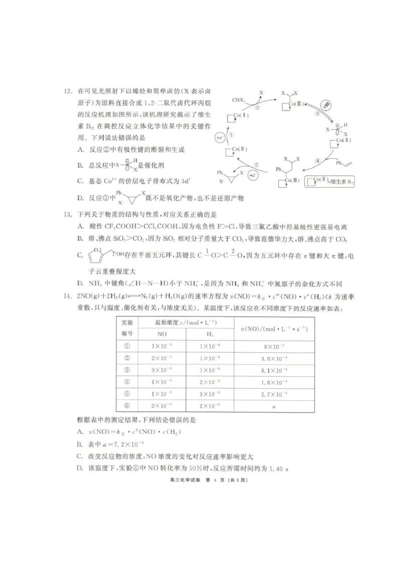 青海大通县朔山中学2025-2026学年高三下学期开学考试化学_2024-2026高三（6-6月题库）_2026年03月高三试卷_260314青海大通县朔山中学2025-2026学年高三下学期开学考试（全科）