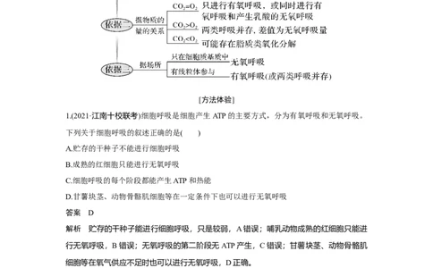 热点微练7　细胞呼吸方式的判断_新高考复习资料_2023年新高考复习资料_一轮复习_2023年新高考大一轮复习讲义_2023年高考生物一轮复习讲义（新人教新高考）_赠补充习题