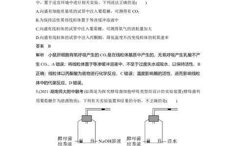 热点微练7　细胞呼吸方式的判断_新高考复习资料_2023年新高考复习资料_一轮复习_2023年新高考大一轮复习讲义_2023年高考生物一轮复习讲义（新人教新高考）_赠补充习题