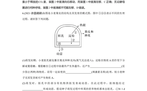 热点微练7　细胞呼吸方式的判断_新高考复习资料_2023年新高考复习资料_一轮复习_2023年新高考大一轮复习讲义_2023年高考生物一轮复习讲义（新人教新高考）_赠补充习题