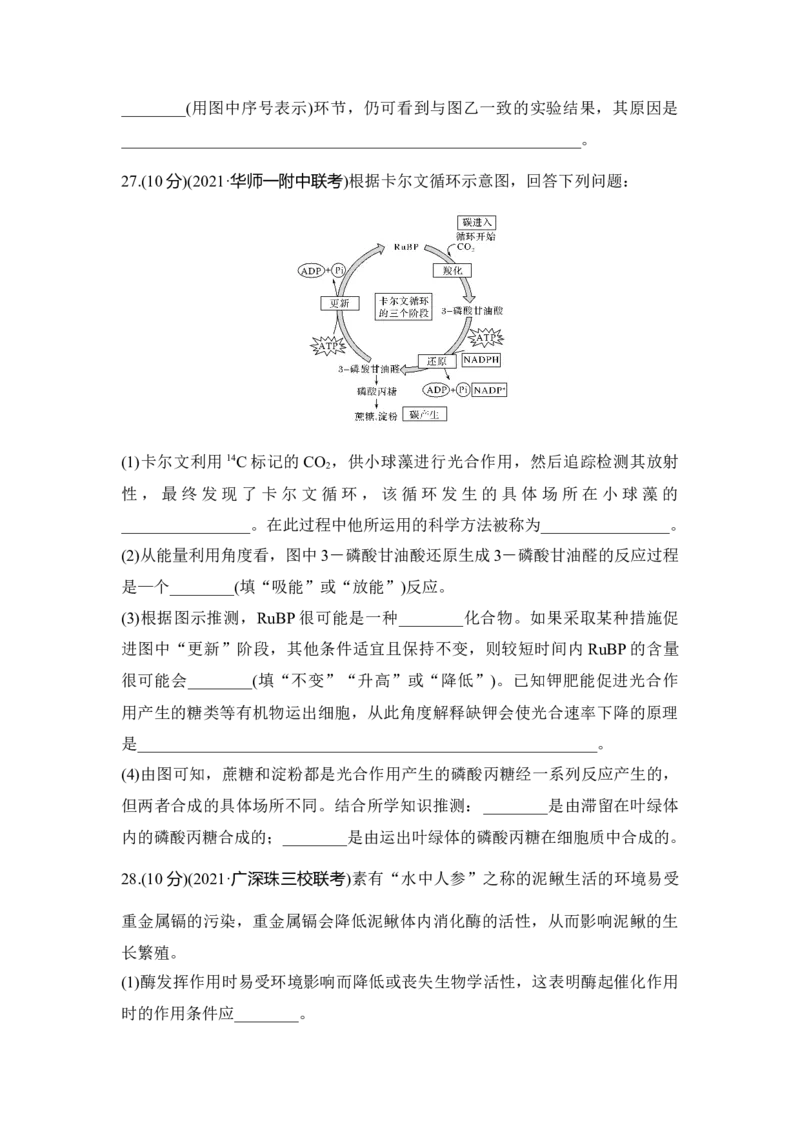 模块检测卷（一）_通用版（老高考）复习资料_2023年复习资料_一轮复习_2023年高考生物一轮复习讲义+课件（全国版）_2023年高考生物一轮复习讲义（全国版）_赠补充习题