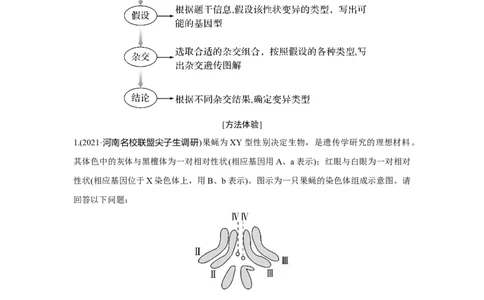 热点微练21　有关变异类型的实验探究_新高考复习资料_2023年新高考复习资料_一轮复习_2023年新高考大一轮复习讲义_2023年高考生物一轮复习讲义（新人教新高考）_赠补充习题