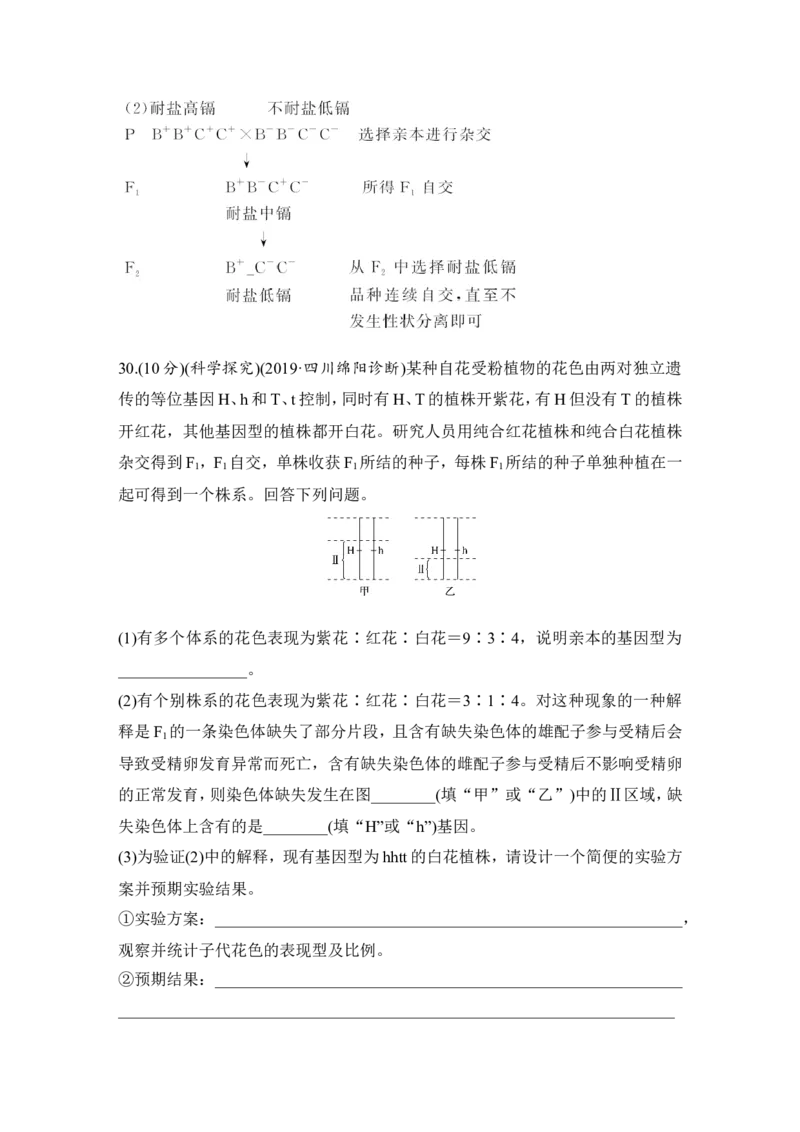 模块检测卷（二）_新高考复习资料_2022年新高考复习资料_2022年一轮复习最新版_1.2022年高考生物一轮复习全国通用版_2022年新高考生物一轮复习讲义（最新版）_赠送word习题库_必修2