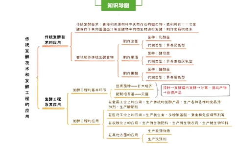 知识清单32传统发酵技术和发酵工程应用（2大考点+6个易错点）-上好课2025年高考生物一轮复习知识清单_2025年新高考资料_一轮复习