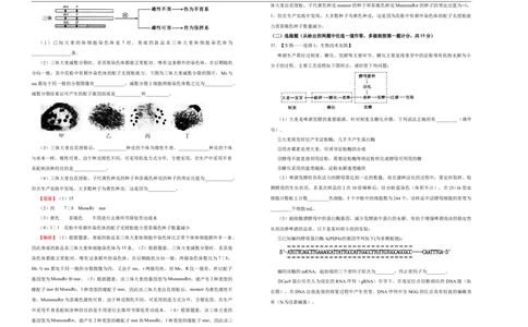 格致精选2021届高三第二次模拟考试卷生物（四）教师版_通用版（老高考）复习资料_2023年复习资料_专项复习_2023《微专题&middot;小练习》&middot;生物_模拟题_2021二模试卷