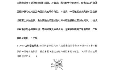 热点微练22神经调节中的离子与神经递质_通用版（老高考）复习资料_2023年复习资料_一轮复习_2023年高考生物一轮复习讲义+课件（全国版）_2023年高考生物一轮复习讲义（全国版）