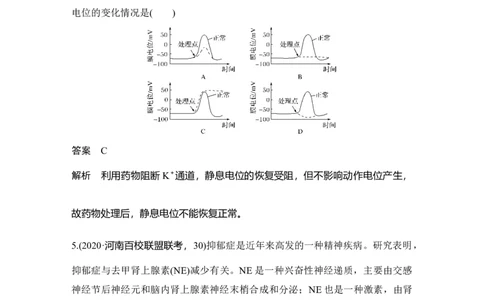 热点微练22神经调节中的离子与神经递质_通用版（老高考）复习资料_2023年复习资料_一轮复习_2023年高考生物一轮复习讲义+课件（全国版）_2023年高考生物一轮复习讲义（全国版）