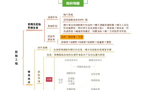知识清单36胚胎工程（2大考点+7个易错点）-上好课2025年高考生物一轮复习知识清单_2025年新高考资料_一轮复习_上好课2025年高考生物一轮复习知识清单325572639