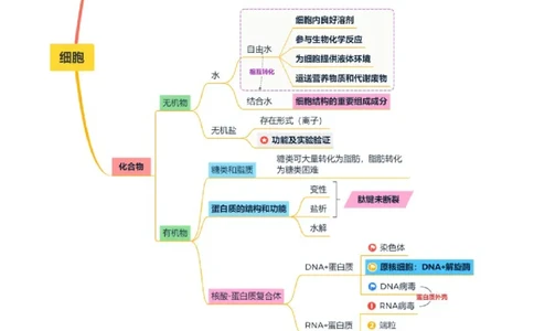 第01讲细胞中的元素和化合物（讲义）（解析版）_2025年新高考资料_二轮复习_上好课2025年高考生物二轮复习讲练测（新高考通用）3380526