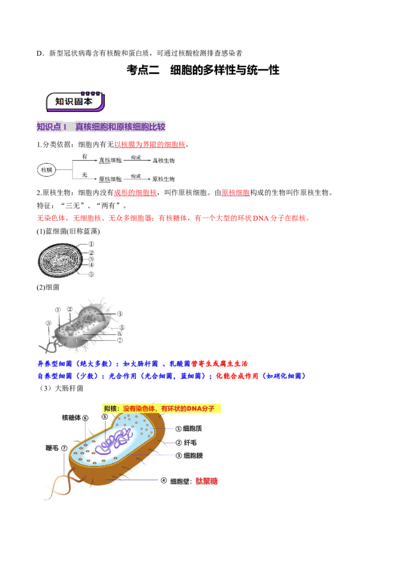 第01讲走近细胞（讲义）（原卷版）_2025年新高考资料_一轮复习_2025年高考生物一轮复习讲练测（新教材新高考）
