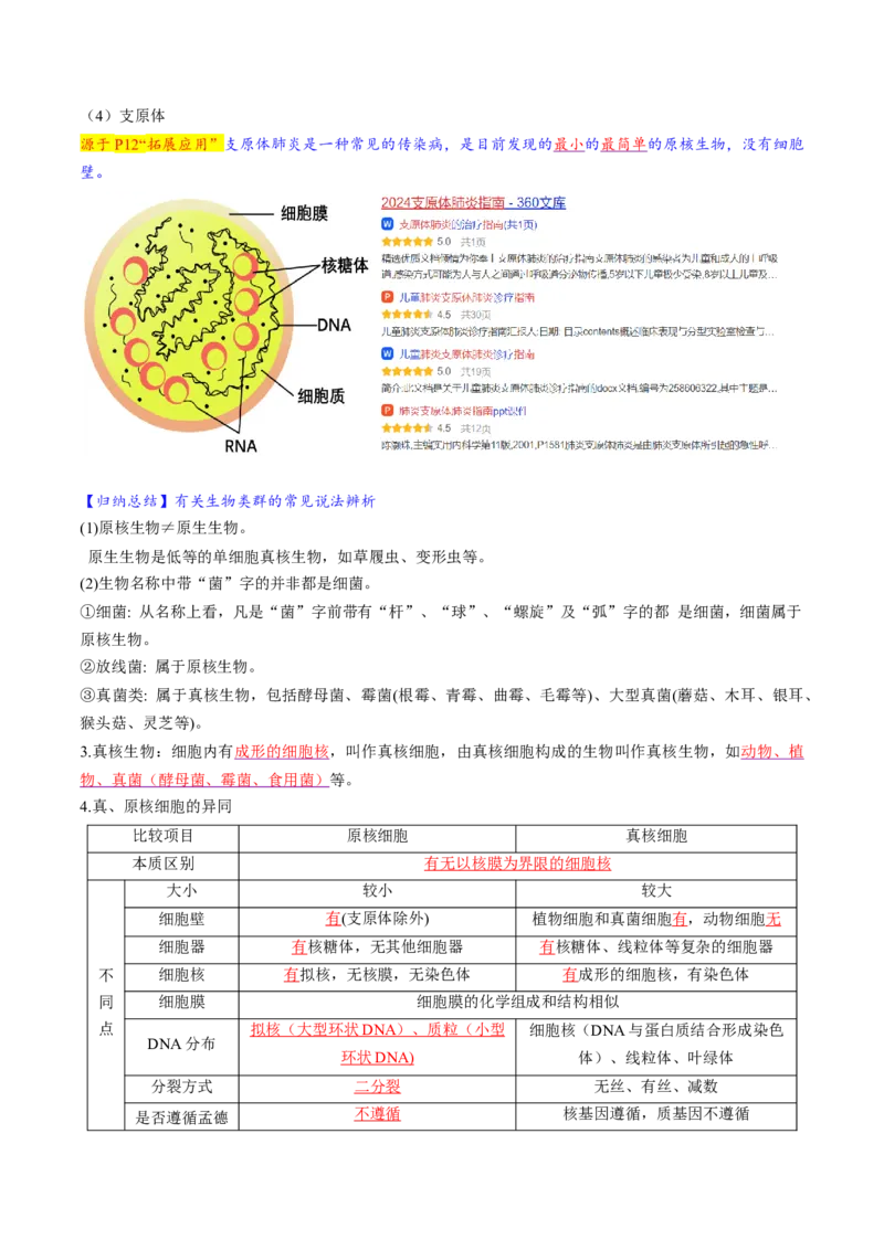 第01讲走近细胞（讲义）（原卷版）_2025年新高考资料_一轮复习_2025年高考生物一轮复习讲练测（新教材新高考）