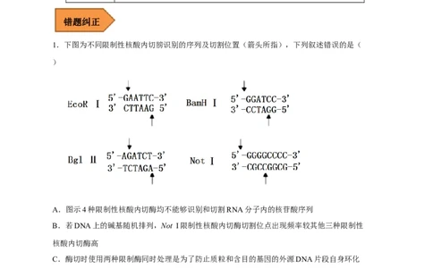 易错点28基因工程-备战2023年高考生物考试易错题（新教材新高考）（解析版）_新高考复习资料_2023年新高考复习资料_专项复习_备战2023年高考生物考试易错题（新教材新高考）
