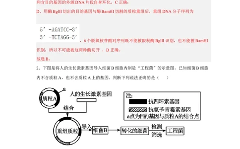 易错点28基因工程-备战2023年高考生物考试易错题（新教材新高考）（解析版）_新高考复习资料_2023年新高考复习资料_专项复习_备战2023年高考生物考试易错题（新教材新高考）