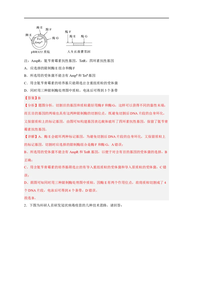 易错点28基因工程-备战2023年高考生物考试易错题（新教材新高考）（解析版）_新高考复习资料_2023年新高考复习资料_专项复习_备战2023年高考生物考试易错题（新教材新高考）
