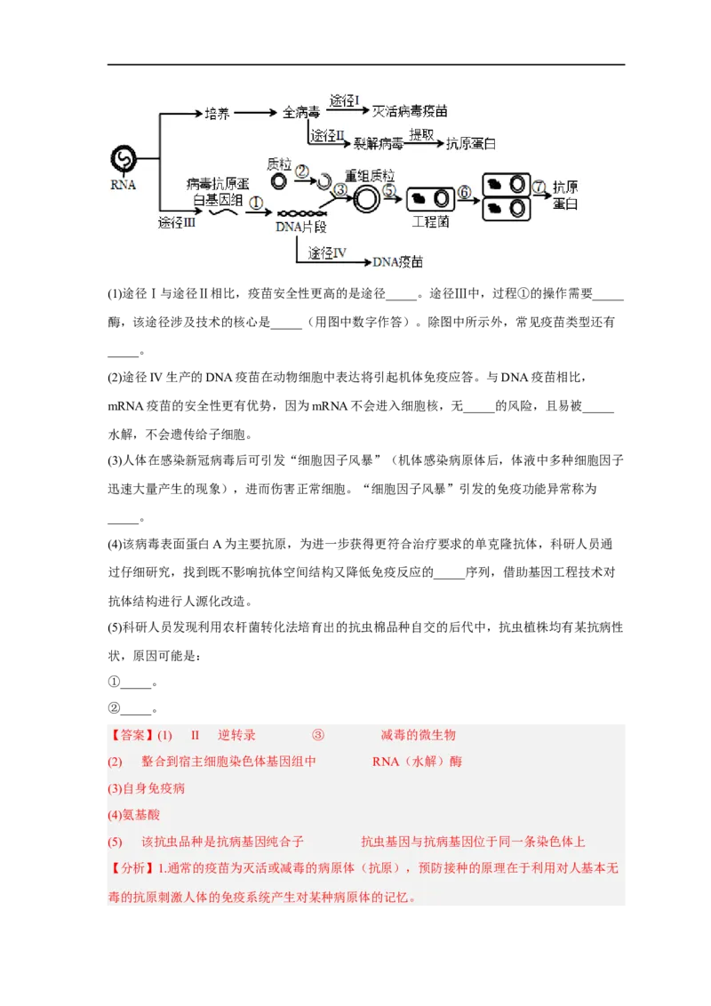易错点28基因工程-备战2023年高考生物考试易错题（新教材新高考）（解析版）_新高考复习资料_2023年新高考复习资料_专项复习_备战2023年高考生物考试易错题（新教材新高考）