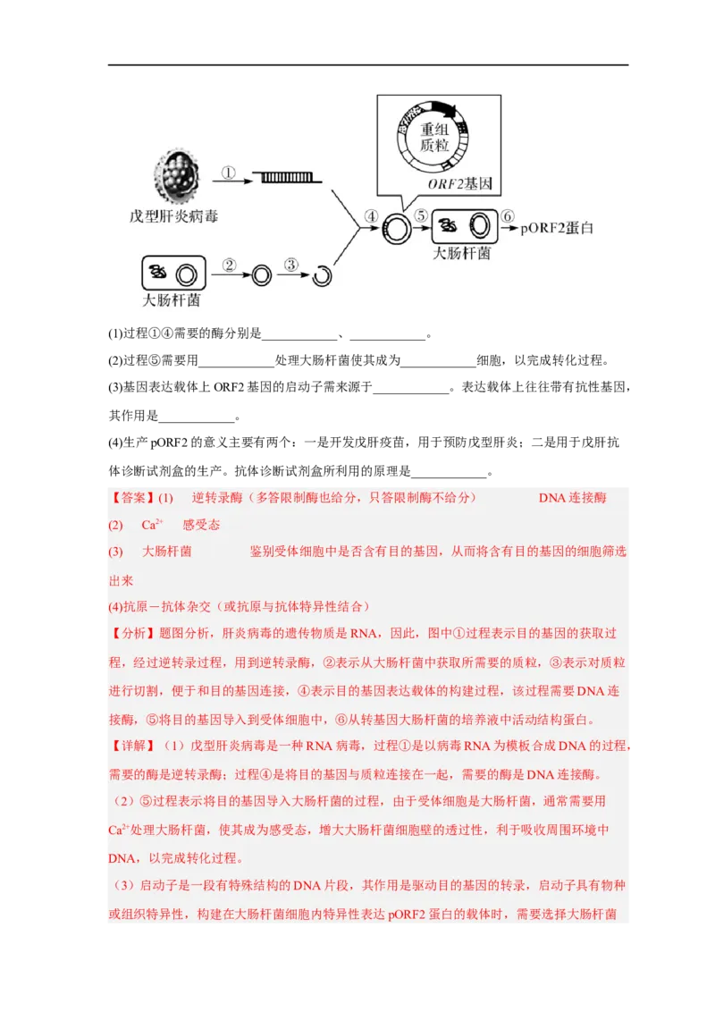 易错点28基因工程-备战2023年高考生物考试易错题（新教材新高考）（解析版）_新高考复习资料_2023年新高考复习资料_专项复习_备战2023年高考生物考试易错题（新教材新高考）