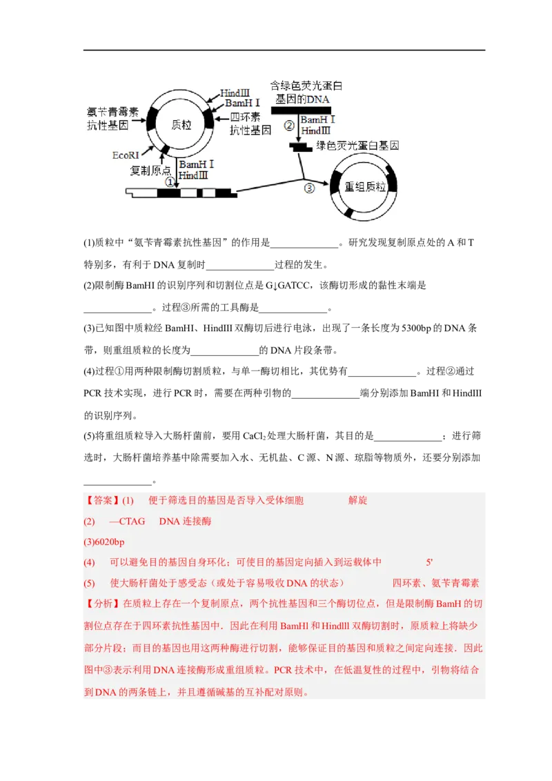 易错点28基因工程-备战2023年高考生物考试易错题（新教材新高考）（解析版）_新高考复习资料_2023年新高考复习资料_专项复习_备战2023年高考生物考试易错题（新教材新高考）