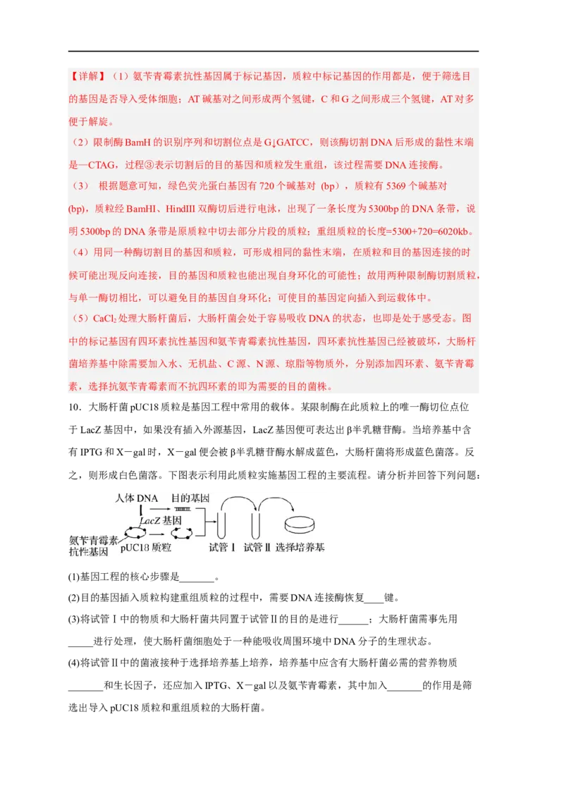 易错点28基因工程-备战2023年高考生物考试易错题（新教材新高考）（解析版）_新高考复习资料_2023年新高考复习资料_专项复习_备战2023年高考生物考试易错题（新教材新高考）