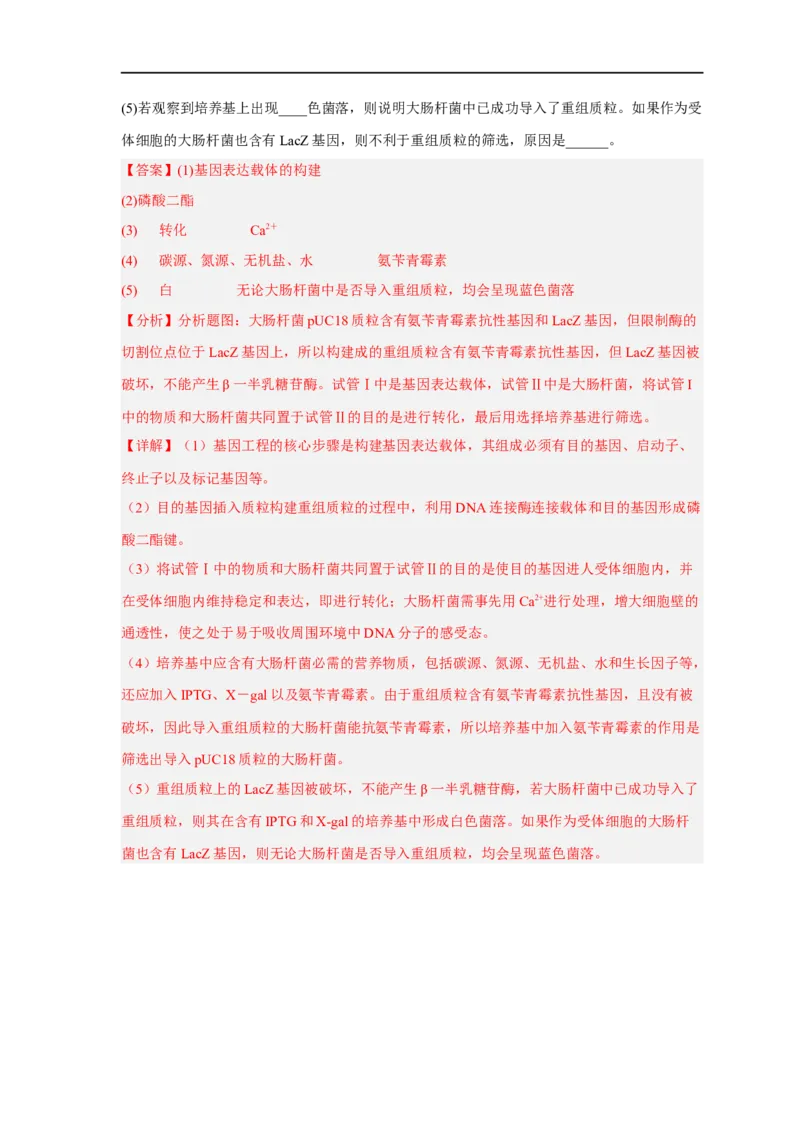 易错点28基因工程-备战2023年高考生物考试易错题（新教材新高考）（解析版）_新高考复习资料_2023年新高考复习资料_专项复习_备战2023年高考生物考试易错题（新教材新高考）