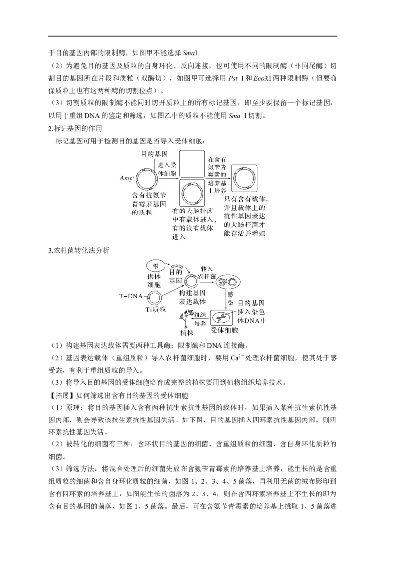 易错点28基因工程-备战2023年高考生物考试易错题（新教材新高考）（解析版）_新高考复习资料_2023年新高考复习资料_专项复习_备战2023年高考生物考试易错题（新教材新高考）