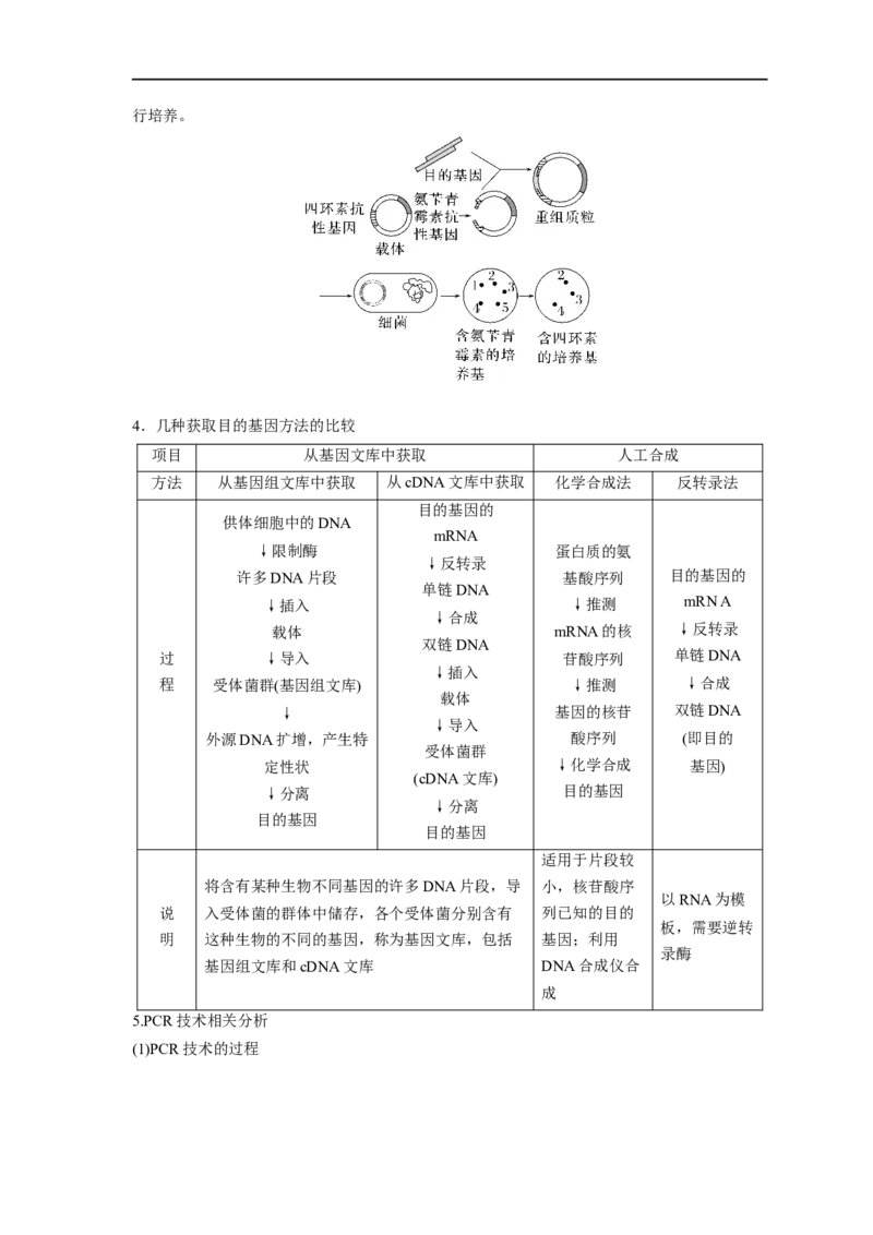 易错点28基因工程-备战2023年高考生物考试易错题（新教材新高考）（解析版）_新高考复习资料_2023年新高考复习资料_专项复习_备战2023年高考生物考试易错题（新教材新高考）