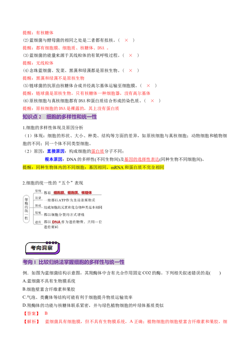 第01讲走近细胞（讲义）（解析版）_2025年新高考资料_一轮复习_2025年高考生物一轮复习讲练测（新教材新高考）