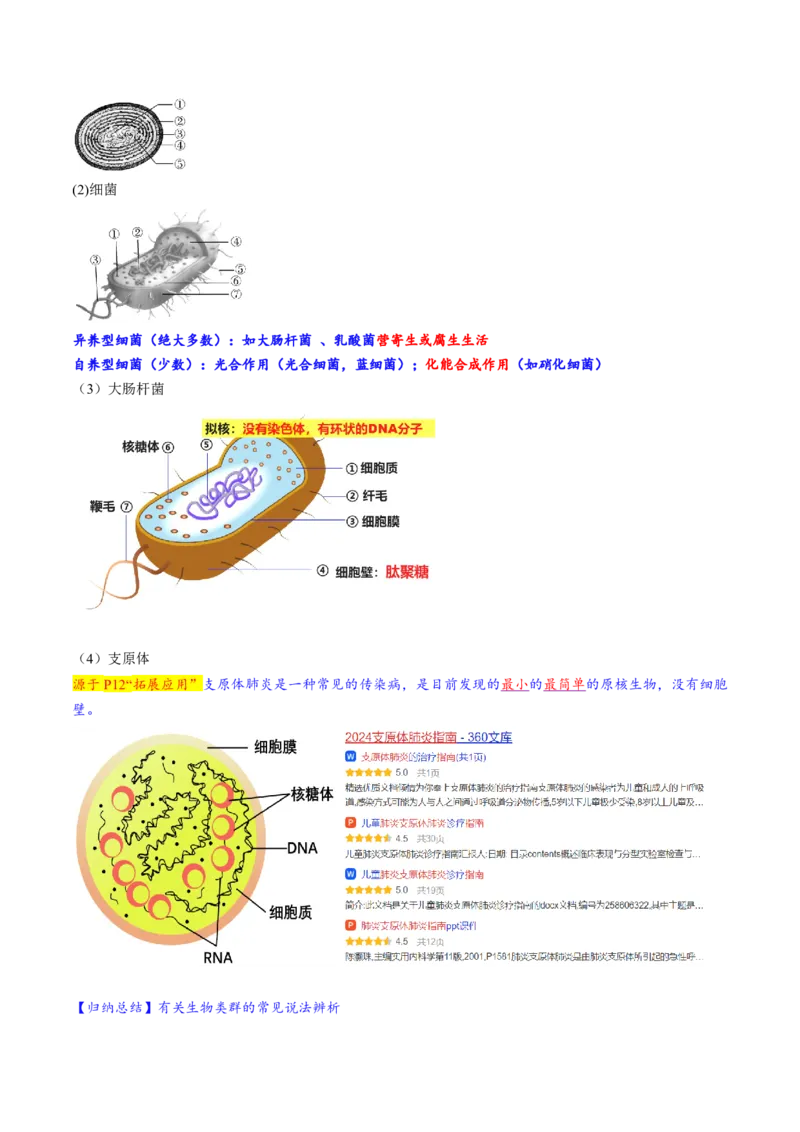 第01讲走近细胞（讲义）（解析版）_2025年新高考资料_一轮复习_2025年高考生物一轮复习讲练测（新教材新高考）