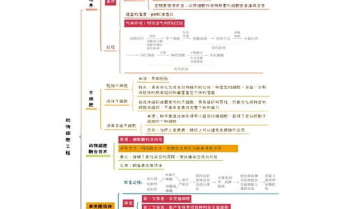知识清单35动物细胞工程（3大考点+3个易错点）-上好课2025年高考生物一轮复习知识清单_2025年新高考资料_一轮复习_上好课2025年高考生物一轮复习知识清单325572639