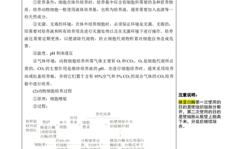 知识清单35动物细胞工程（3大考点+3个易错点）-上好课2025年高考生物一轮复习知识清单_2025年新高考资料_一轮复习_上好课2025年高考生物一轮复习知识清单325572639