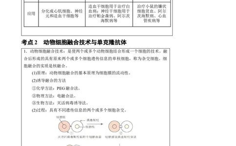 知识清单35动物细胞工程（3大考点+3个易错点）-上好课2025年高考生物一轮复习知识清单_2025年新高考资料_一轮复习_上好课2025年高考生物一轮复习知识清单325572639