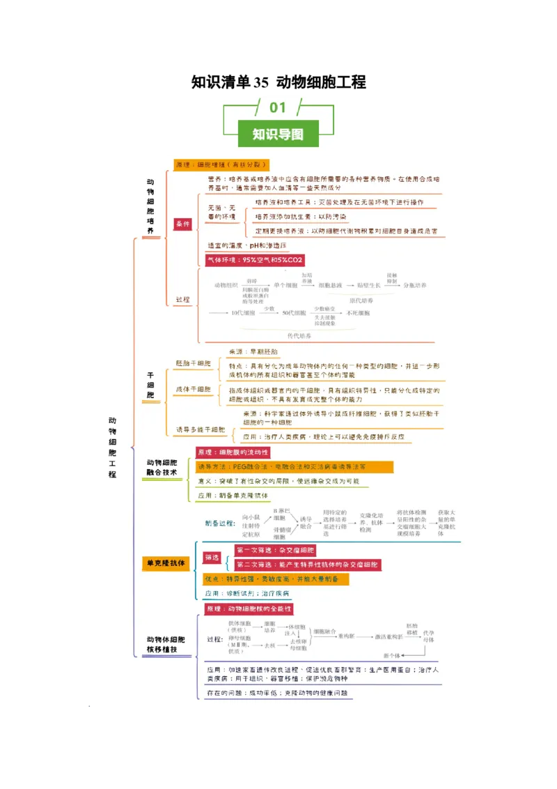 知识清单35动物细胞工程（3大考点+3个易错点）-上好课2025年高考生物一轮复习知识清单_2025年新高考资料_一轮复习_上好课2025年高考生物一轮复习知识清单325572639
