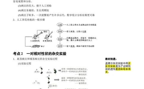 知识清单11基因分离定律（5大考点4个易错点）-上好课2025年高考生物一轮复习知识清单_2025年新高考资料_一轮复习_上好课2025年高考生物一轮复习知识清单325572639