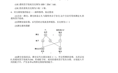 知识清单11基因分离定律（5大考点4个易错点）-上好课2025年高考生物一轮复习知识清单_2025年新高考资料_一轮复习_上好课2025年高考生物一轮复习知识清单325572639