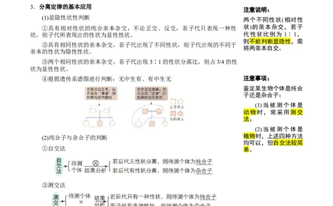 知识清单11基因分离定律（5大考点4个易错点）-上好课2025年高考生物一轮复习知识清单_2025年新高考资料_一轮复习_上好课2025年高考生物一轮复习知识清单325572639